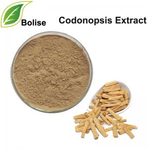 Codonopsis Extract(Tangshen Extract) Codonopsis Extract(Tangshen Extract)