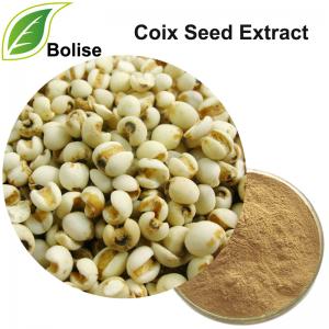 Coix Seed extract(Job's Tear Seed Extract ) Coix Seed extract(Job's Tear Seed Extract )