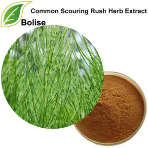 Common Scouring Rush Herb Extract(Herba Equiseti Hiemalis Extract) Common Scouring Rush Herb Extract(Herba Equiseti Hiemalis Extract)
