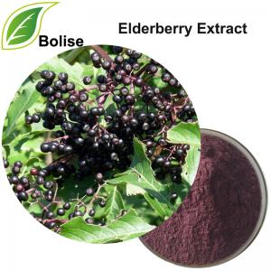Elderberry Extract (Sambucus Nigra Extract) Elderberry Extract (Sambucus Nigra Extract)
