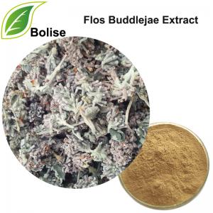 Flos Buddlejae Extract Flos Buddlejae Extract