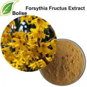 Forsythia Fructus Extract(Weeping Forsythia extract) Forsythia Fructus Extract(Weeping Forsythia extract)