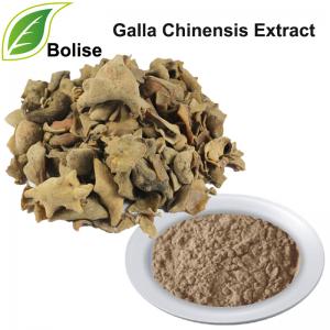Galla Chinensis Extract Galla Chinensis Extract