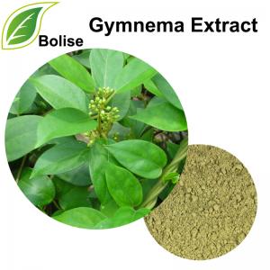 Gymnema Extract Gymnema Extract