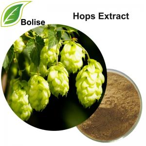 Hops Extract Hops Extract