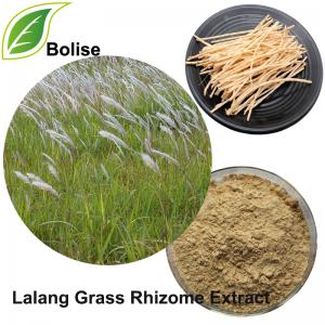 Lalang Grass Rhizome Extract(Couch Grass Extract) Lalang Grass Rhizome Extract(Couch Grass Extract)