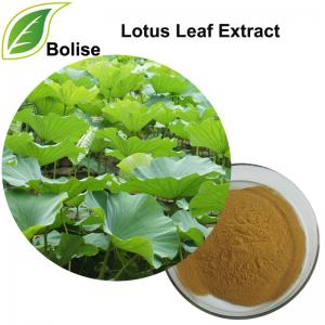 Lotus Leaf Extract Lotus Leaf Extract