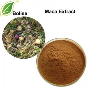 Peruvian Ginseng Extract(Maca Extract) Peruvian Ginseng Extract(Maca Extract)