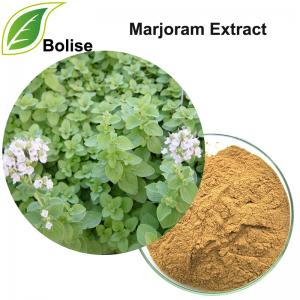 Marjoram Extract(Origanum extract) Marjoram Extract(Origanum extract)
