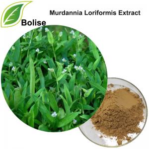 Murdannia Loriformis Extract Murdannia Loriformis Extract