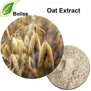 Oat Extract Oat Extract