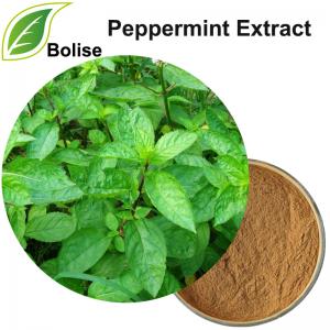Peppermint Extract Peppermint Extract