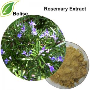 Rosemary Extract Rosemary Extract