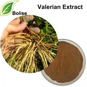 Valerian Extract Valerian Extract