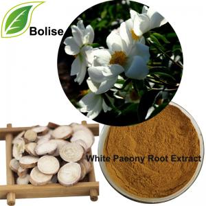 White Paeony Root Extract White Paeony Root Extract
