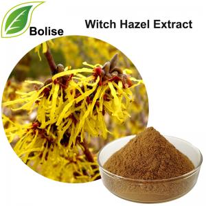 Witch Hazel Extract Witch Hazel Extract