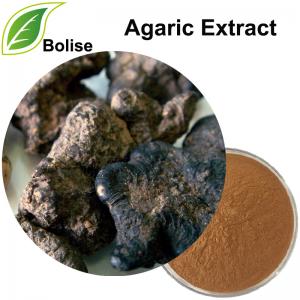 Agaric Extract(Polyporus Extract) Agaric Extract(Polyporus Extract)