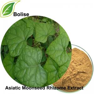 Asiatic Moonseed Rhizome Extract(Rhizoma Menispermi Extract) Asiatic Moonseed Rhizome Extract(Rhizoma Menispermi Extract)
