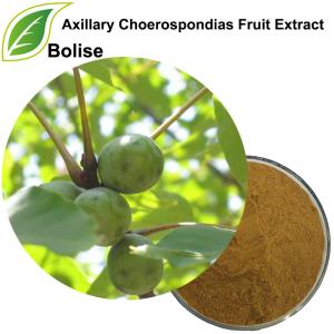 Axillary Choerospondias Fruit Extract Axillary Choerospondias Fruit Extract