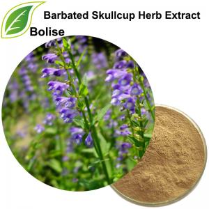 Barbated Skullcup Herb Extract Barbated Skullcup Herb Extract