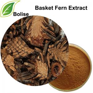 Basket Fern Extract Basket Fern Extract