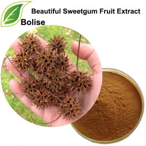 Beautiful Sweetgum Fruit Extract Beautiful Sweetgum Fruit Extract