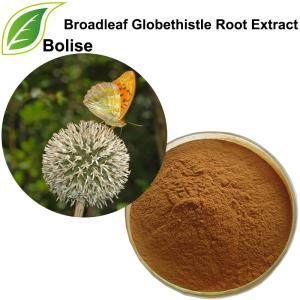 Broadleaf Globethistle Root Extract(Radix Echinopsis Extract) Broadleaf Globethistle Root Extract(Radix Echinopsis Extract)
