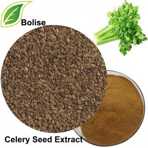 Celery Seed Extract Celery Seed Extract