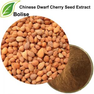 Chinese Dwarf Cherry Seed Extract(Semen Pruni Extract) Chinese Dwarf Cherry Seed Extract(Semen Pruni Extract)