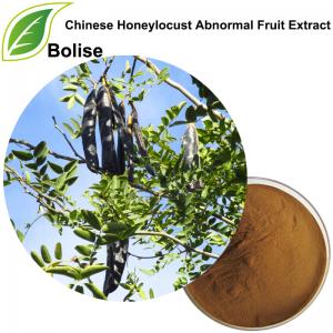 Chinese Honeylocust Abnormal Fruit Extract Chinese Honeylocust Abnormal Fruit Extract