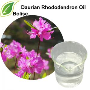 Daurian Rhododendron Oil Daurian Rhododendron Oil