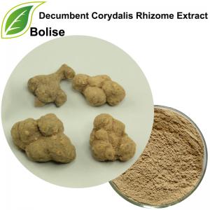 Decumbent Corydalis Rhizome Extract Decumbent Corydalis Rhizome Extract