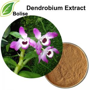 Dendrobium Extract Dendrobium Extract