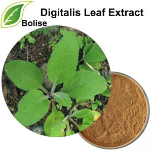 Digitalis Leaf Extract(Folium Digitalis Extract) Digitalis Leaf Extract(Folium Digitalis Extract)