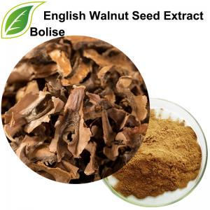 English Walnut Seed Extract(Semen Juglandis Extract) English Walnut Seed Extract(Semen Juglandis Extract)