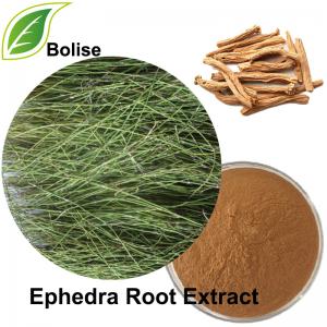 Ephedra Root Extract(Radix Ephedrae Extract) Ephedra Root Extract(Radix Ephedrae Extract)