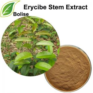 Erycibe Stem Extract(Caulis Erycibes Extract) Erycibe Stem Extract(Caulis Erycibes Extract)