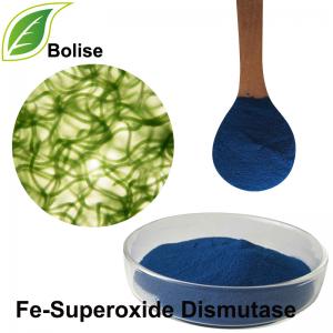 Fe-Superoxide Dismutase Fe-Superoxide Dismutase