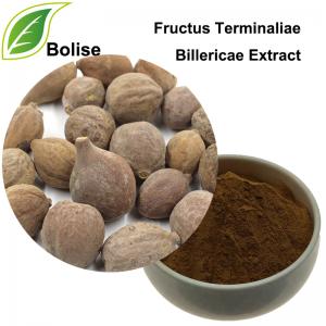 Belleric Terminalia Fruit Extract(Fructus Terminaliae Billericae Extract) Belleric Terminalia Fruit Extract(Fructus Terminaliae Billericae Extract)