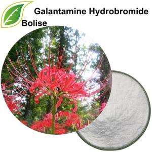 Galantamine Hydrobromide Galantamine Hydrobromide