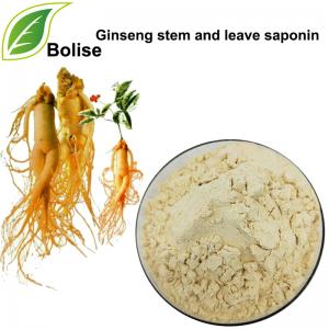 Ginseng stem and leaf saponin(80%) Ginseng stem and leaf saponin(80%)
