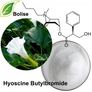 Hyoscine Butylbromide Hyoscine Butylbromide
