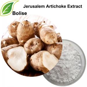 Jerusalem Artichoke Extract Jerusalem Artichoke Extract
