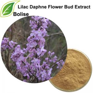 Lilac Daphne Flower Bud Extract(Flos Genkwa Extract) Lilac Daphne Flower Bud Extract(Flos Genkwa Extract)