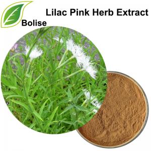 Lilac Pink Herb Extract(Herba Dianthi Extract) Lilac Pink Herb Extract(Herba Dianthi Extract)