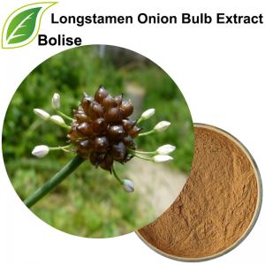 Longstamen Onion Bulb Extract(Bulbus Allii Macrostemi Extract) Longstamen Onion Bulb Extract(Bulbus Allii Macrostemi Extract)