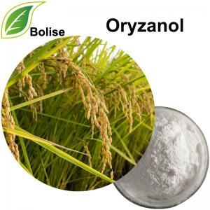 Oryzanol Oryzanol