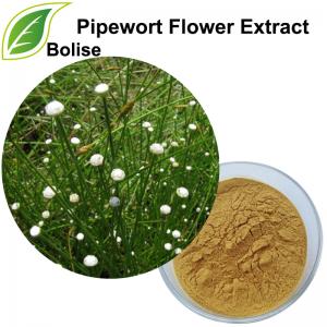 Pipewort Flower Extract(Flos Eriocauli Extract) Pipewort Flower Extract(Flos Eriocauli Extract)