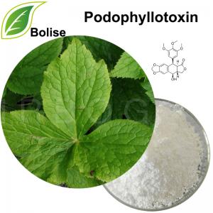 Podophyllotoxin (podofilox) Podophyllotoxin (podofilox)