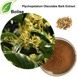 Ptychopetalum Olacoides Bark Extract Ptychopetalum Olacoides Bark Extract